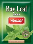 Bay leaf